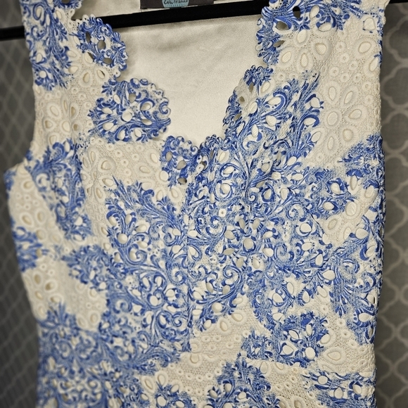 EUC Gorgeous Floral Lace Eva Franco Midi Shift Dress! - Picture 4 of 6